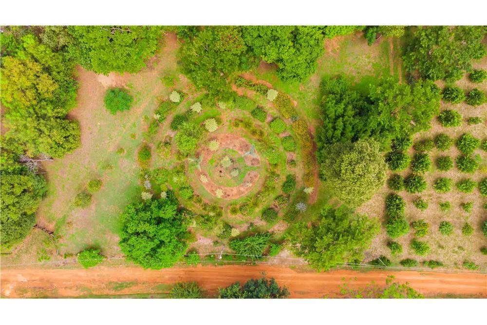 VENDO CASA QUINTA EN EUSEBIO AYALA CON PISCINA NATURAL — foto 3