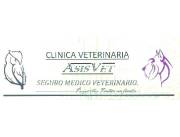 Busco Medico Veterinario para trabajo en sociedad