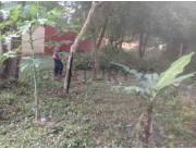 EN LUQUE VENTA TERRENO A CUADRAS DE LA RUTA LUQUE - SANBER