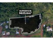 VENDO AMPLIO TERRENO EN PRESIDENTE FRANCO IDEAL PARA DESARROLLO U HOTEL