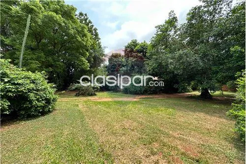 Terreno en Venta en Central Fernando De La Mora San Antonio Callejón Zaracho c Bejarano — foto 3