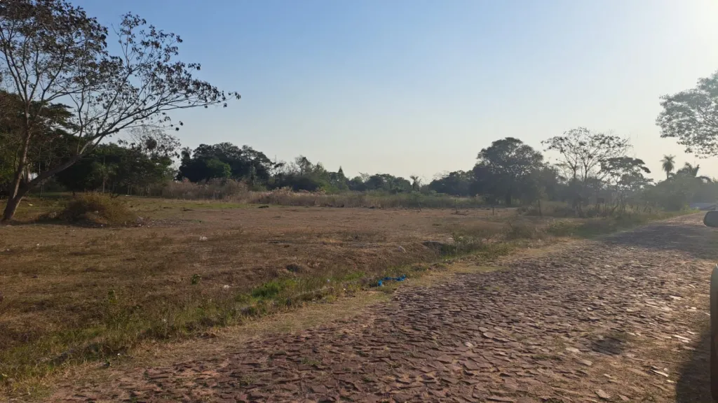 1 HECTAREA EN VENTA ZONA VILLETA — foto 2