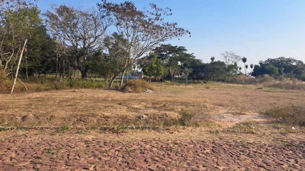 1 HECTAREA EN VENTA ZONA VILLETA — foto 3