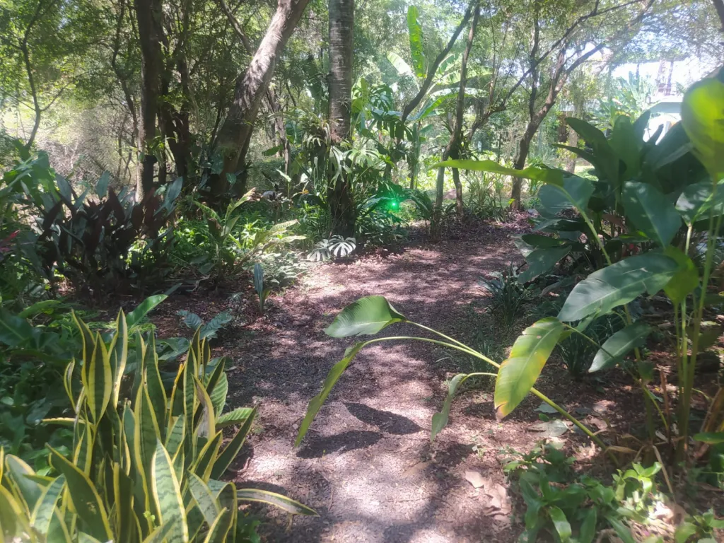 Terreno en Venta – Emboscada, Camino a Nueva Colombia — foto 3