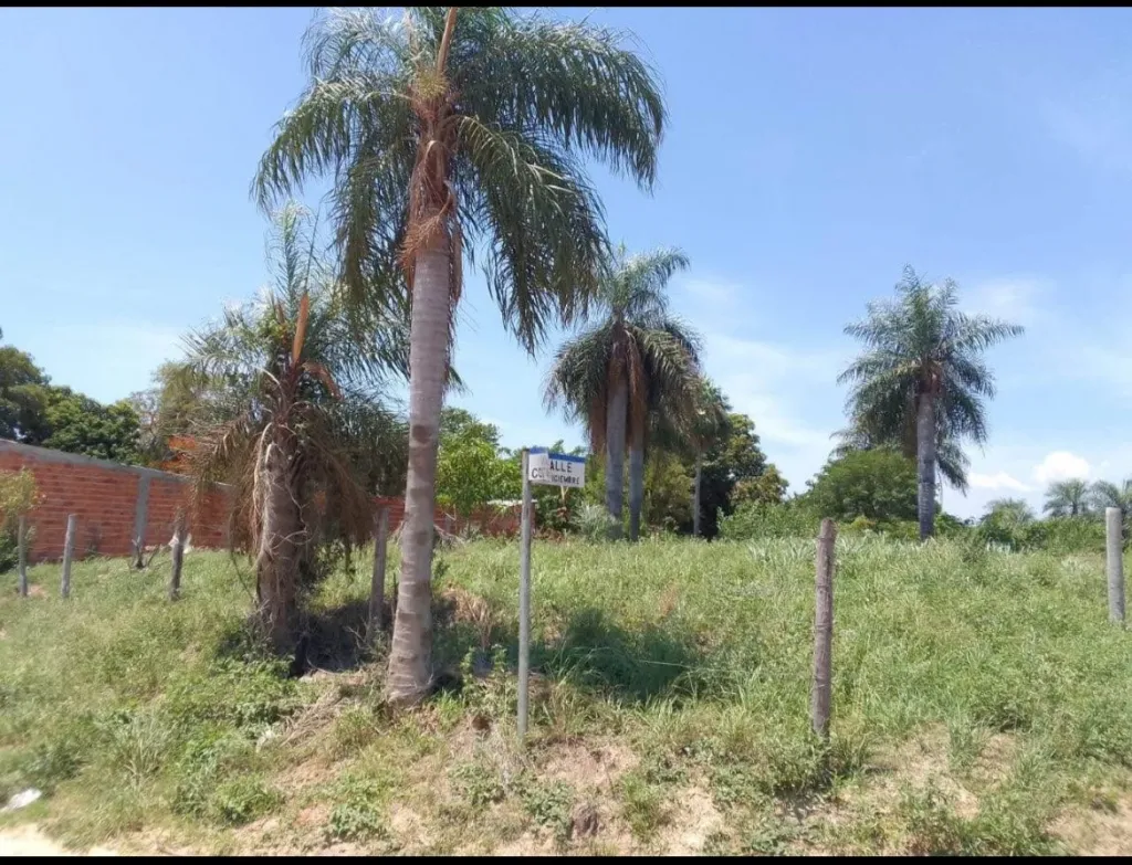 VENDO PROPIEDAD EN CARMELO PERALTA DPTO DE ALTO PARAGUAY — foto 2