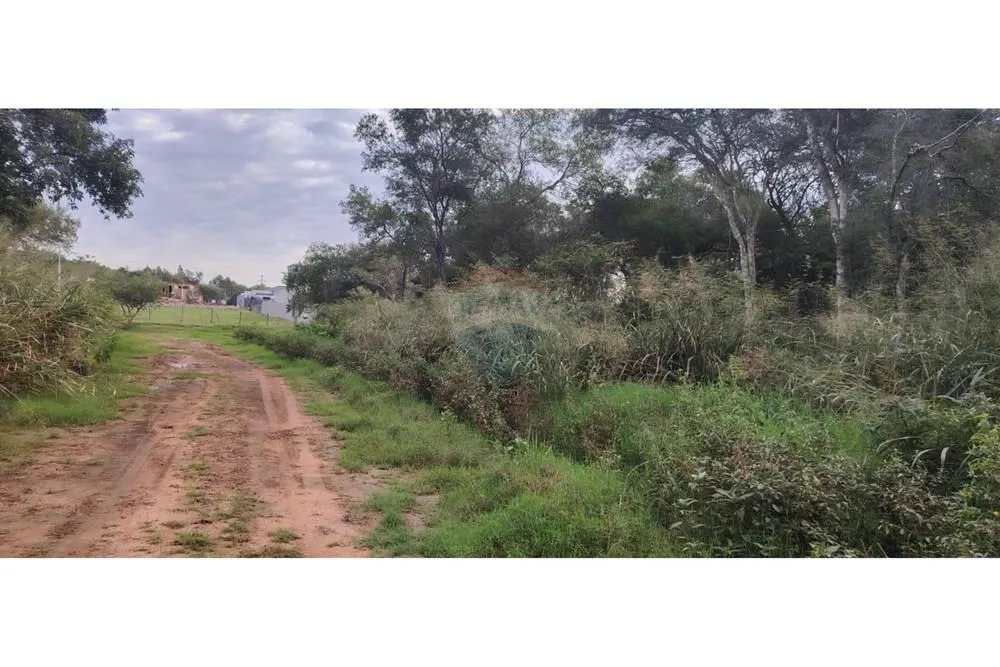 Vendo Amplio Terreno en Surubi i MARIANO ROQUE ALONSO — foto 3