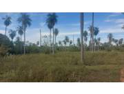 ALTOS, CORDILLERA: 7.2 HAS, P/ LOTEAMIENTOS, CASA QUINTAS, GRANJA, ETC. 600.000.000 GS.