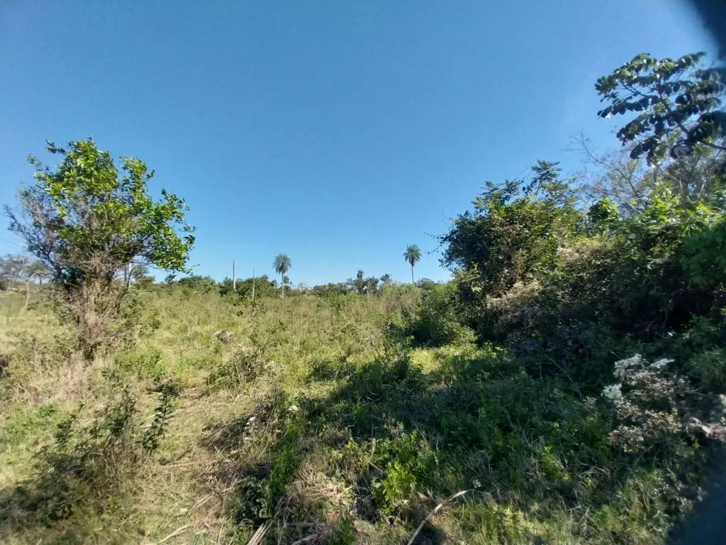 1º DE MARZO, CORDILLERA, PROX. RUTA: 5.7 HAS P LOTEAMIENTOS, URBANIZACIONES, MIXTOS. — foto 3