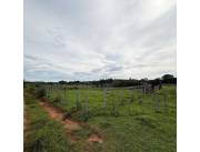 Vendo terreno de 10 hectáreas en Concepción