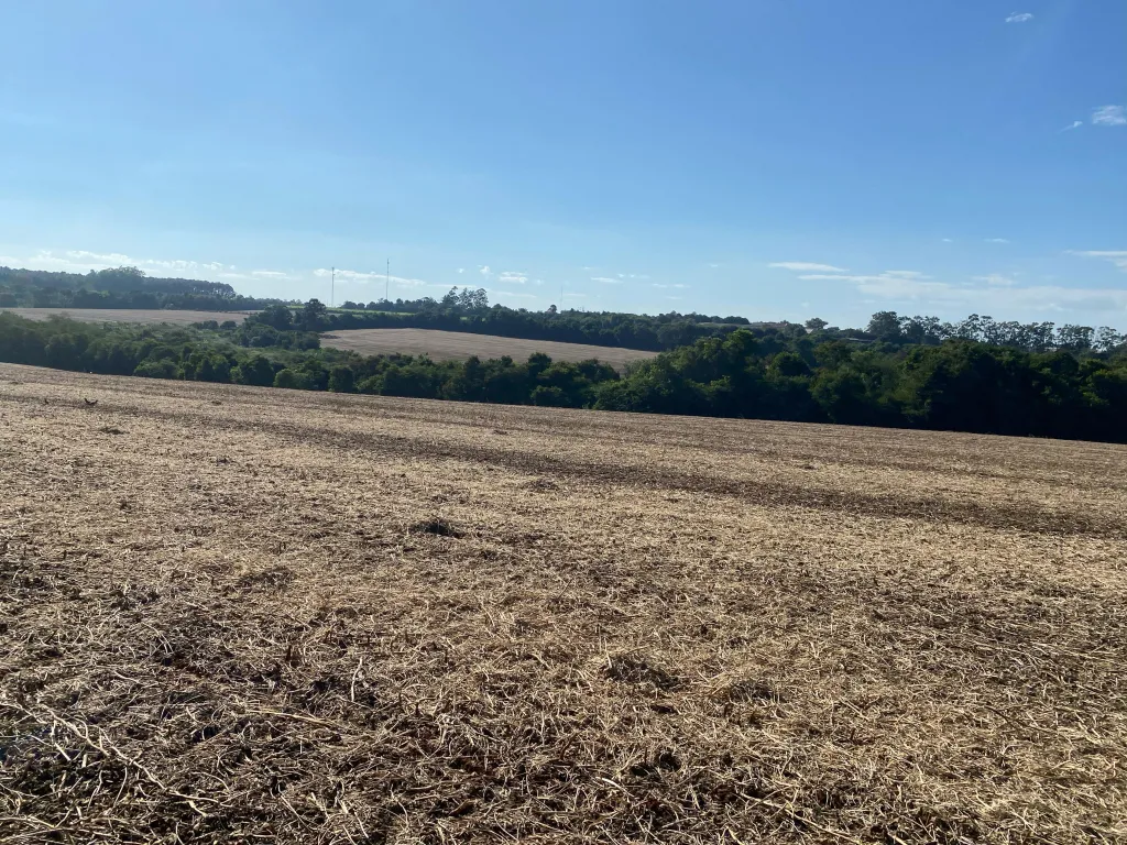 Campo en venta en Bella Vista, Asunción — foto 2