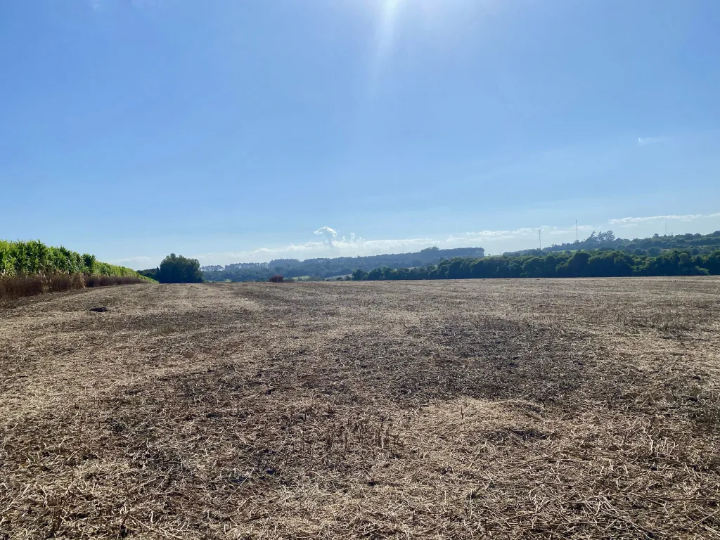 Campo en venta en Bella Vista, Asunción — foto 3