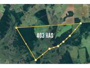 VENDO CAMPO EN SAN PEDRO 403 HECTAREAS