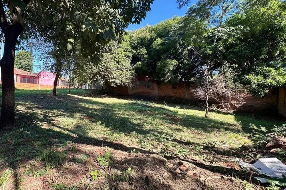 TERRENO EN SAN LORENZO IDEAL PARA INVERSION — foto 3