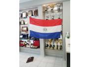 Bandera Paraguaya con mastil