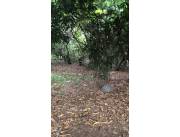 Vendo terreno zona Cerro Lambaré