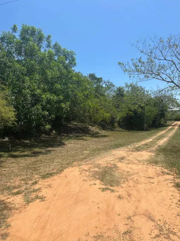 VENDO 3 TERRENOS EN LA CIUDAD DE YPACARAI — foto 2