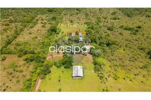ALTOS, CORDILLERA: 8.2 HAS, GRANJA P ECOTURISMO, ARROYOS, AVICOLA, INFRAESTRUCTURA. — foto 2