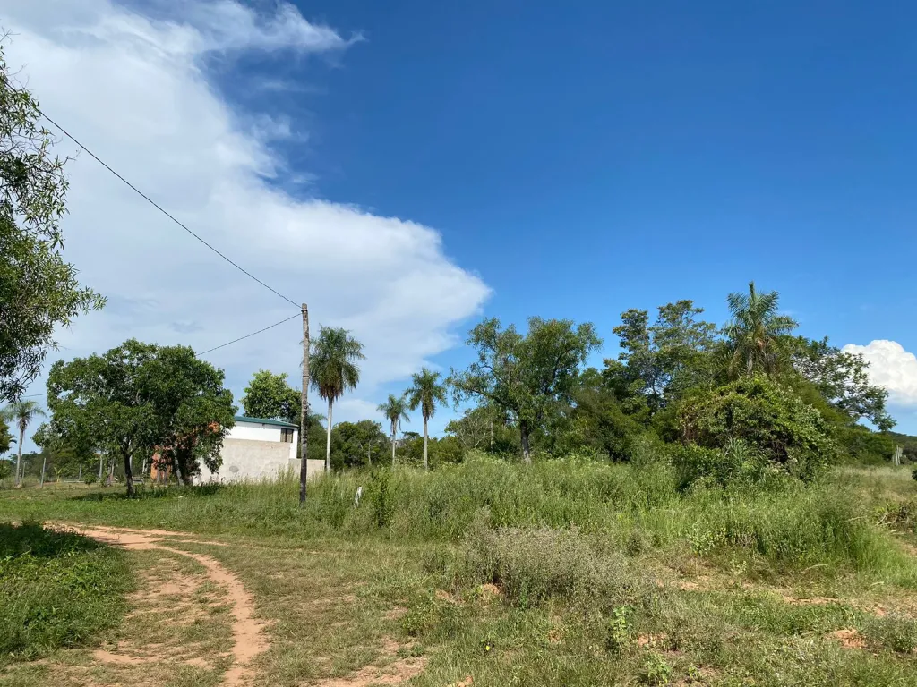 VENDO TERRENO EN LA CIUDAD DE ALTOS — foto 2