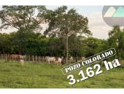 (3.162 ha) Estancia en Pozo Colorado, zona Pirahü (Chaco) km 255