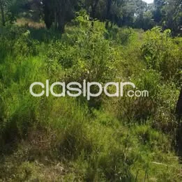 Hermosos terrenos en pilar a metros de la ruta — foto 2