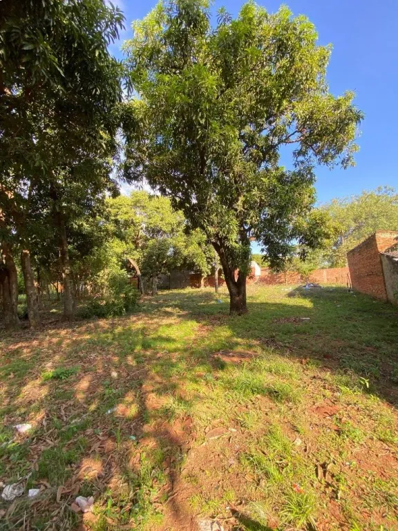Vendo terreno en Mora Cué, zona Tupa Rekavo, ciudad de Luque — foto 2