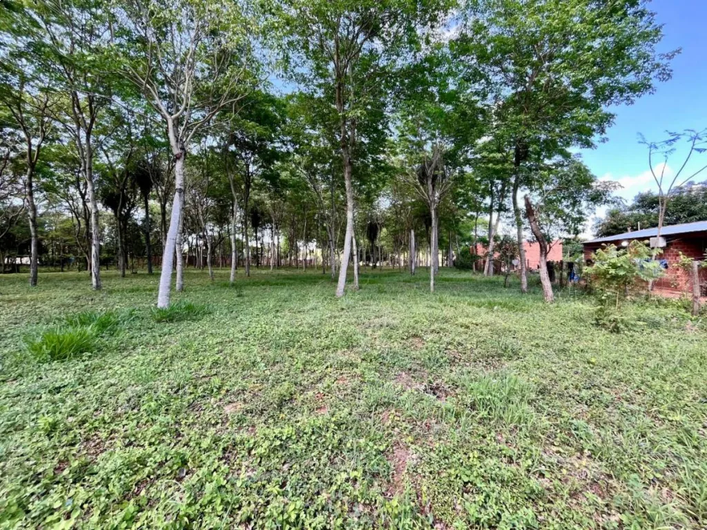 Vendo Lote en Ypané — foto 2