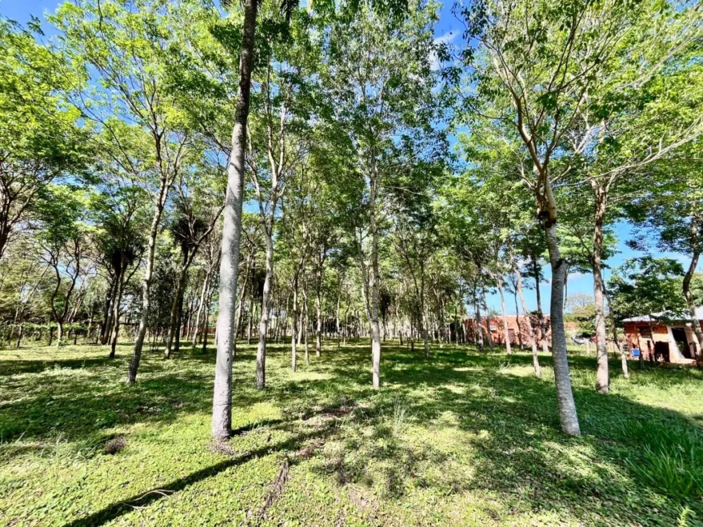 Vendo Lote en Ypané — foto 3