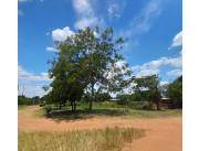 EN VENTA TERRENO EN J.A. SALDIVAR