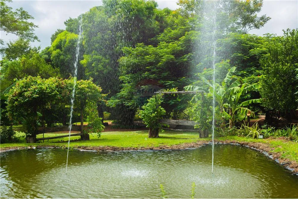 VENDO QUINTA EN EUSEBIO AYALA — foto 3