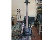 Vendo bajo Washburn bb14
