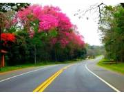 YAGUARON, PARAGUARÍ, S/ RUTA: 23 HAS, APTAS P/ LOTEAMIENTOS, INMOBILIARIOS, SERVICIOS.
