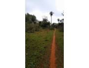 LUQUE, LIMPIO, PROX. RUTA: 3.2 HAS, IDEALES P/ LOTEAMIENTOS, DESARROLLOS INMOBILIARIOS.