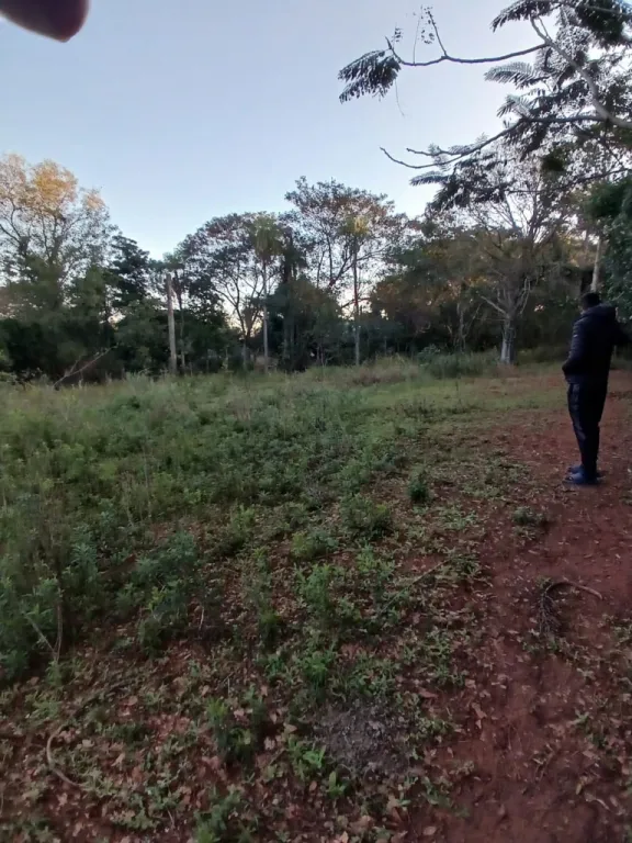 LUQUE, LIMPIO, PROX. RUTA: 3.2 HAS, IDEALES P LOTEAMIENTOS, DESARROLLOS INMOBILIARIOS. — foto 2