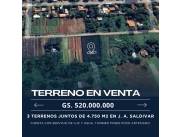 J.A. SALDIVAR: 3 TERRENOS JUNTOS, AGUA, LUZ, P/ URBANIZACIONES, DESARROLLOS INMOBILIARIOS.