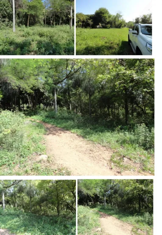 Vendo 1 hectáreas hermosa ubicación entre Luque_Aregua Ypacarai — foto 2