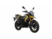 Kenton Bull 200 y 250