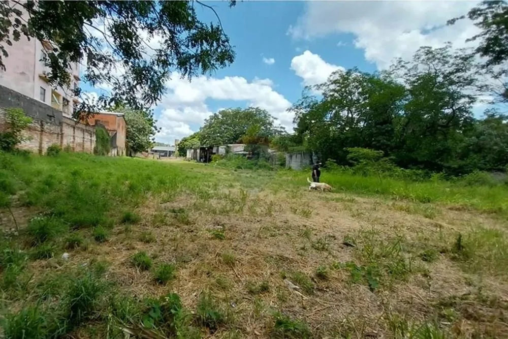 Terreno - Venta -Fernando De La Mora ZONA NORTE. VILLA OFELIA — foto 3