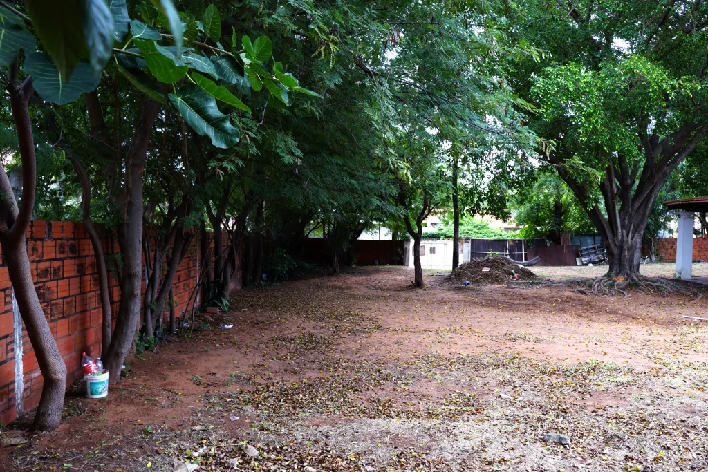 Vendo Propiedad Lambaré — foto 3