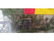 Personal para granja con experiencis