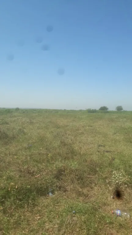 VENDO 1.000 HECTÁREAS EN NUEVA ITALIA — foto 2