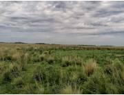 600 HA. DE CAMPO EN SAN IGNACIO - MISIONES
