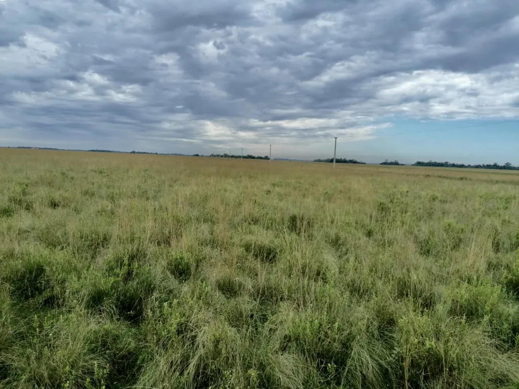 600 HA. DE CAMPO EN SAN IGNACIO - MISIONES — foto 2
