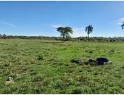 200 hectáreas ALQUILO PARA PROYECTO GANADERO AGRÍCOLA. PERO ES SOLO SUJETO A VENTA EL ALQ.