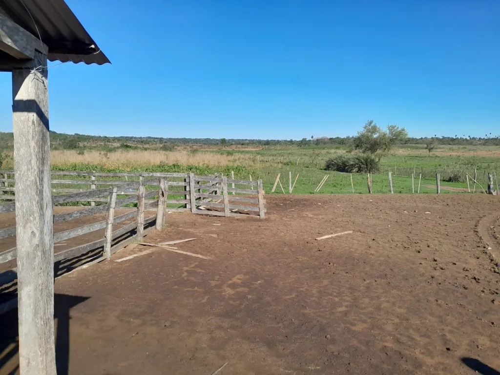200 hectáreas ALQUILO PARA PROYECTO GANADERO AGRÍCOLA. PERO ES SOLO SUJETO A VENTA EL ALQ. — foto 3