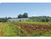 LOTE A PASOS DE UNIVERSIDAD UPAP EN HOHENAU, ITAPUA, CONSULTE FINANCIACION
