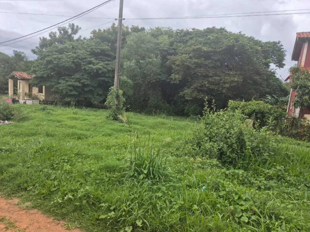 Amplio terreno en venta en Barrio Loma Merlo Luque — foto 2