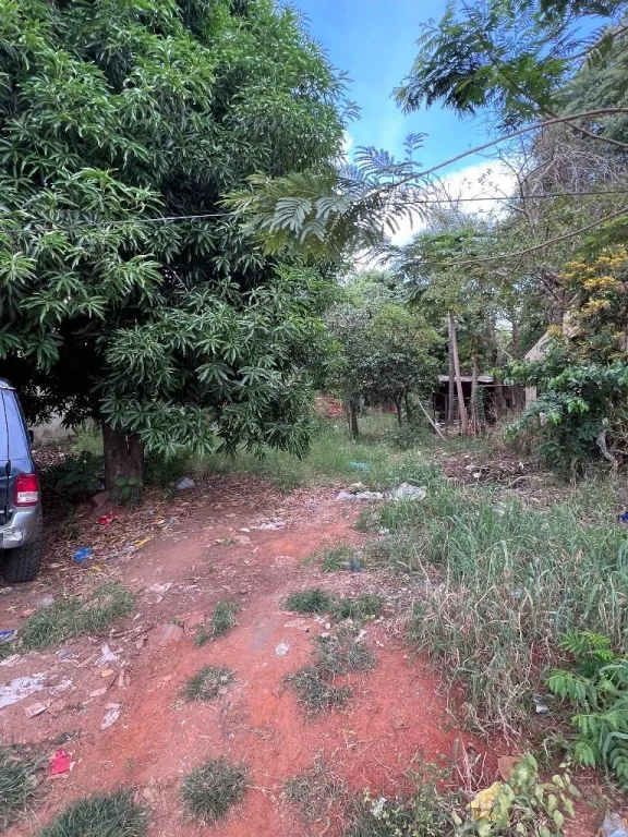 VENDO TERRENO EN LUQUE ZONA ESTRATÉGICA (GRAN VIA GRAL AQUINO) — foto 2