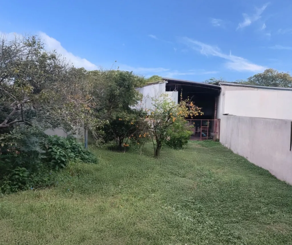 📍 Gran terreno con tinglado en Lambaré — foto 2