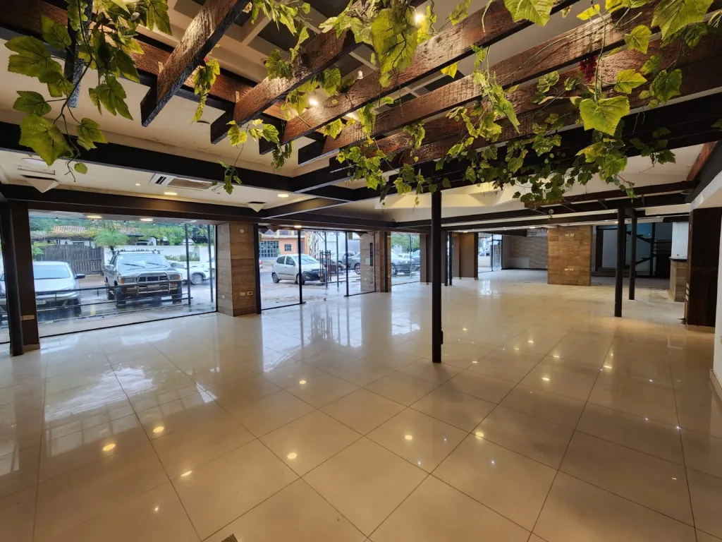 AVDA. ESPAÑA: ELEGANTE LOCAL COMERCIAL, 700 M2, P SHOWROOM, GASTRONÓMICO, CORPORATIVO. — foto 3