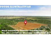 VENDO TERRENO EN LA ZONA DE ALAMO CAPIATA BARRIO COSTA SALINARES